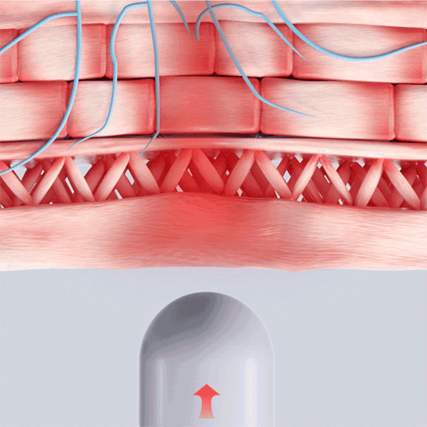 Top pressure point and lumbar traction device for lower back pain (Back Stretcher)